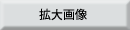 拡大画像