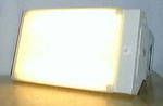 gxCg